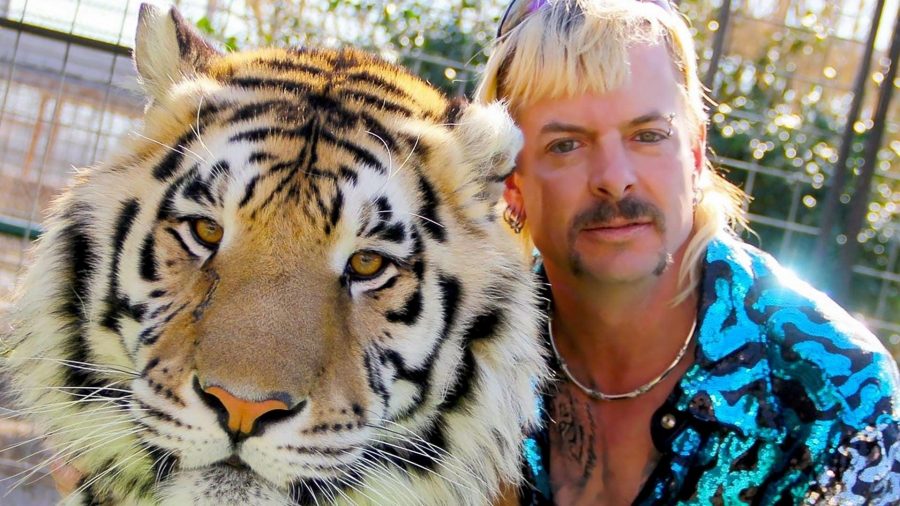 Nicolas Cage será Joe Exotic na série A Máfia dos Tigres